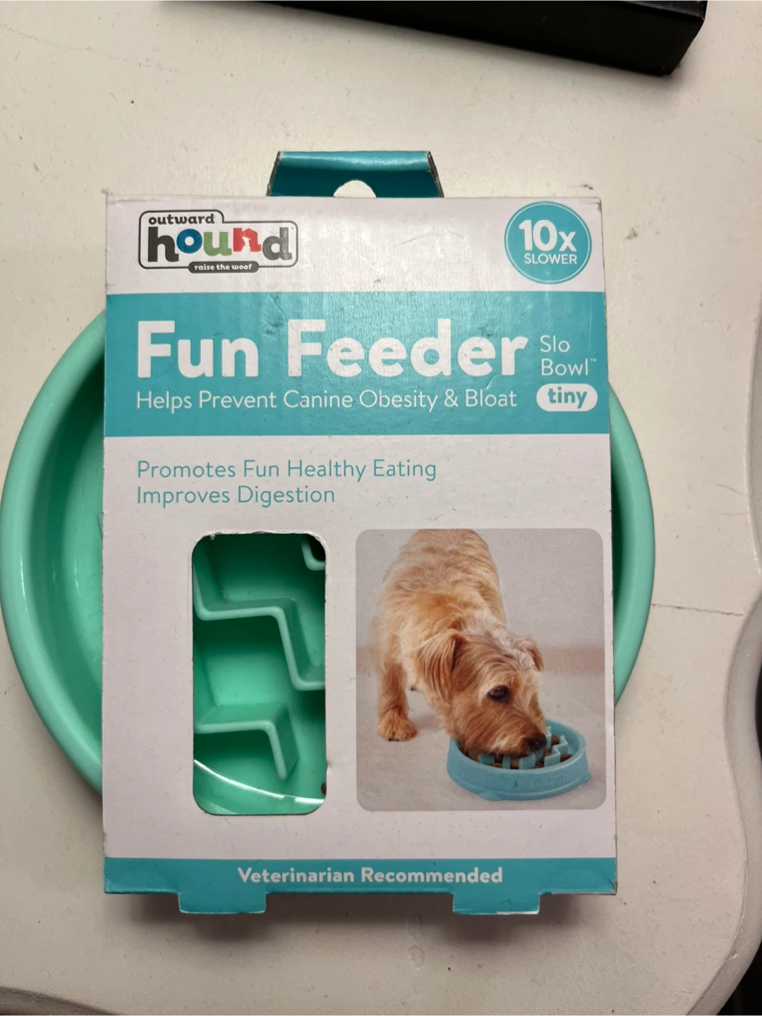 Slow Feeder Dog Bowl