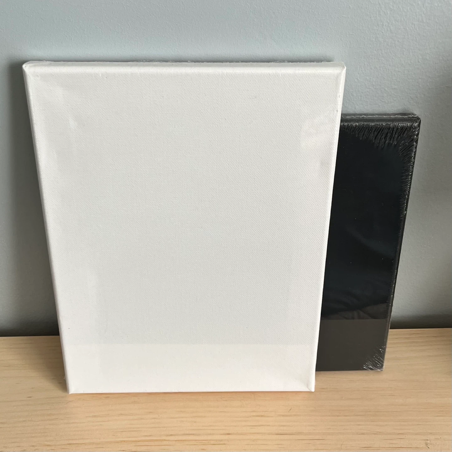 Art canvas (black and white)