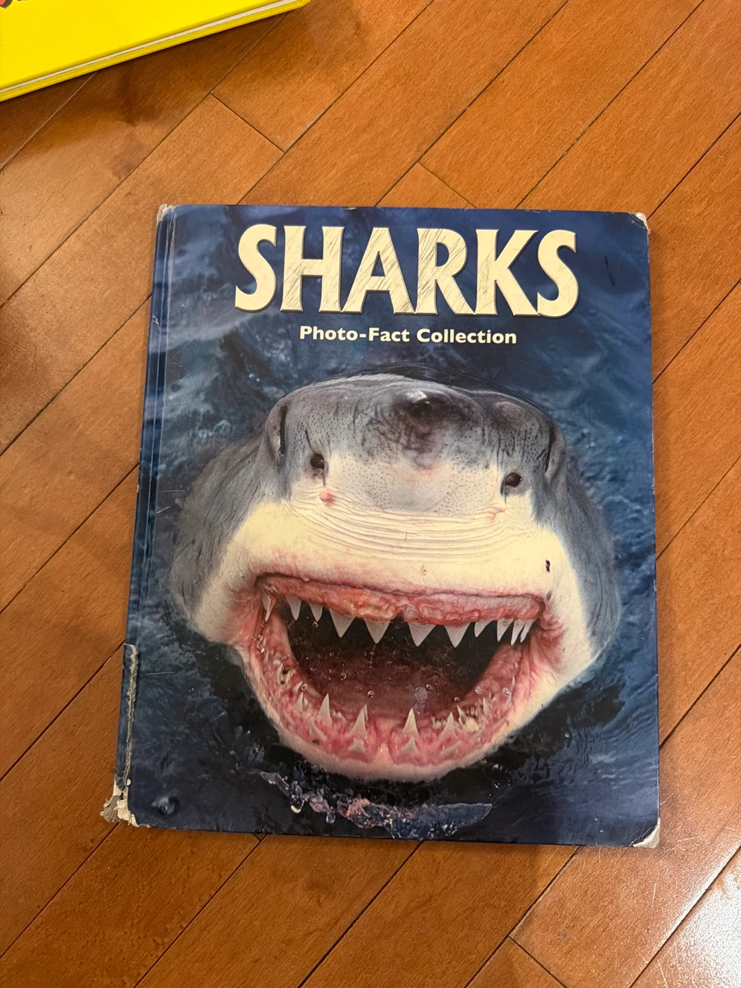 Sharks Photo-Fact Collection Book