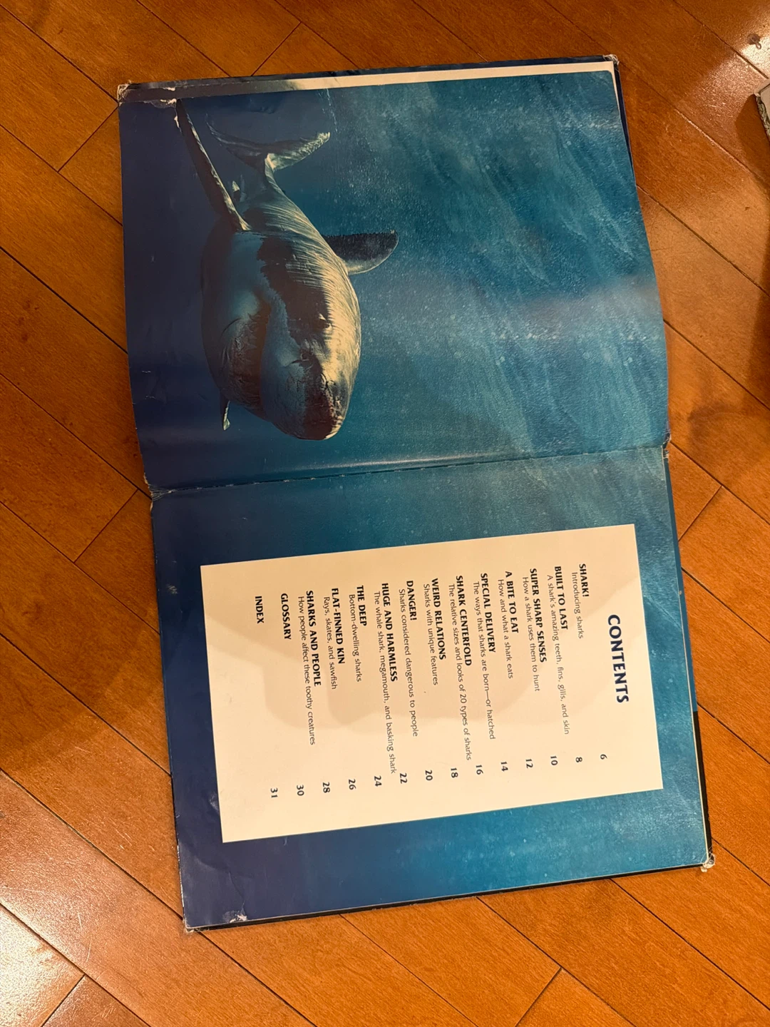 Sharks Photo-Fact Collection Book - photo 2