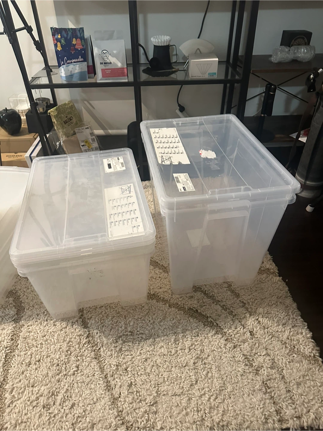 Clear Storage Bins with Lids