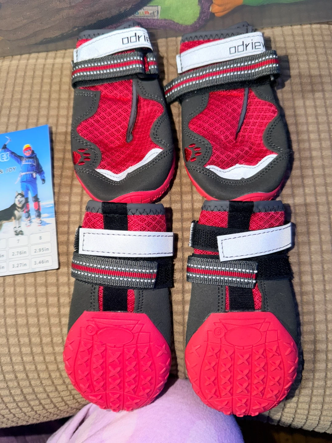 Dog boots - photo 3
