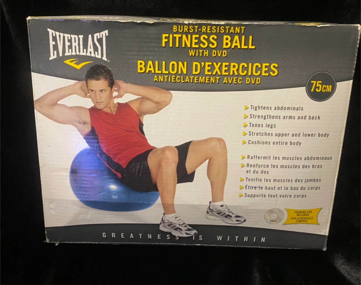 Everlast 75cm Burst-Resistant Fitness Ball with DVD