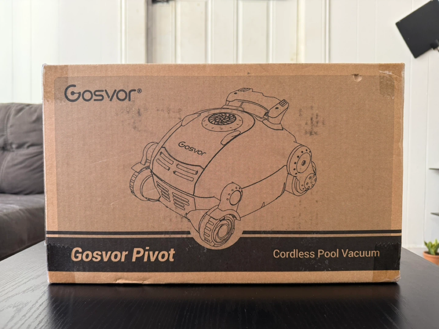 Gosvor Pivot Cordless Pool Vacuum