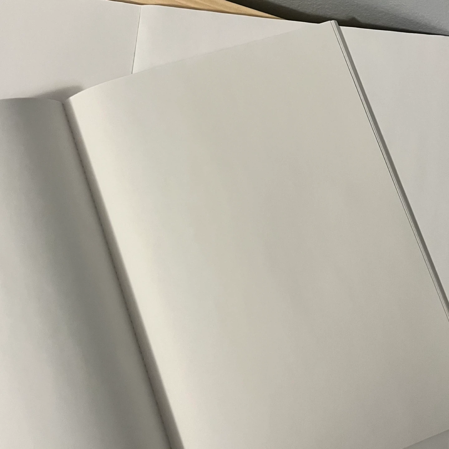 Blank notebooks - photo 3