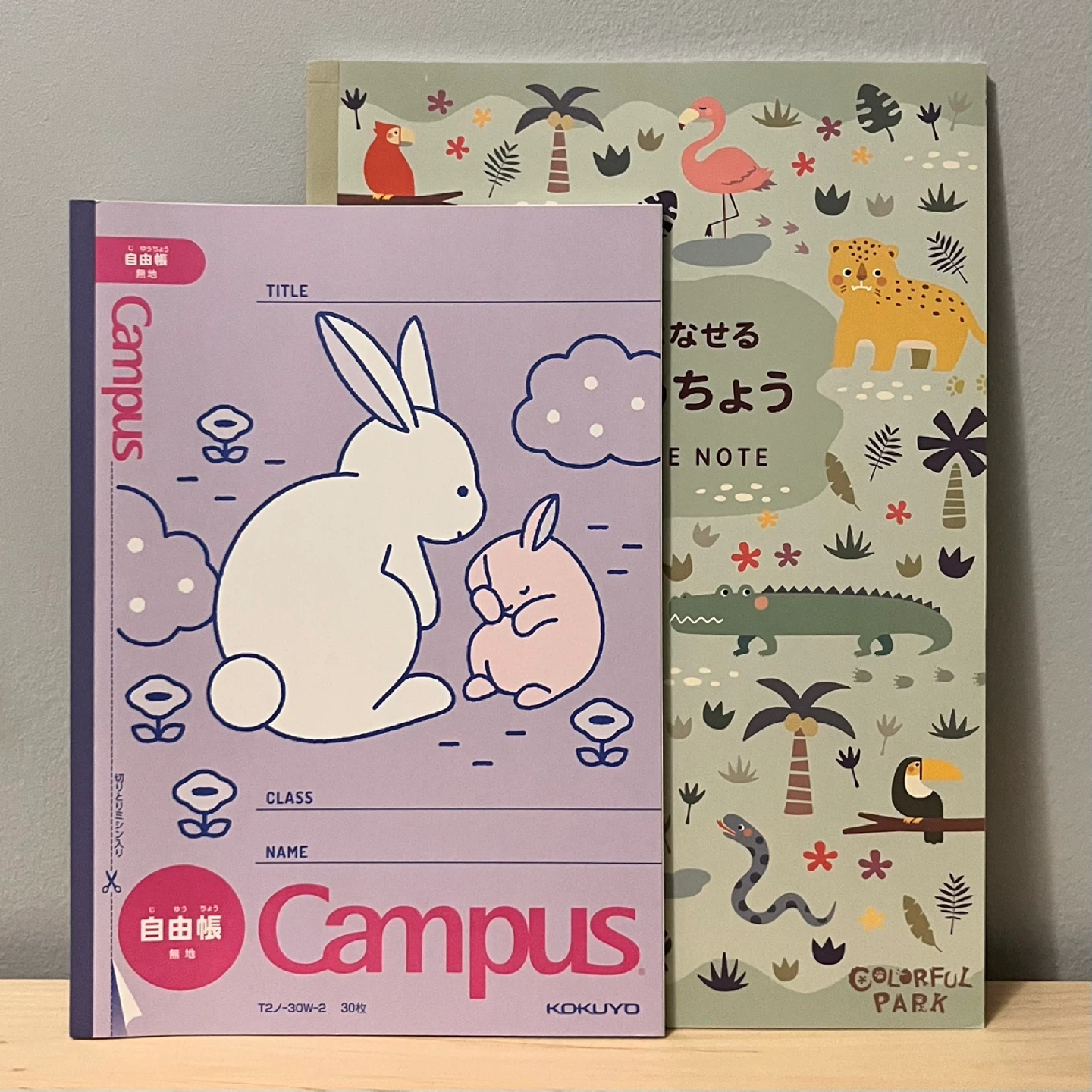Blank notebooks
