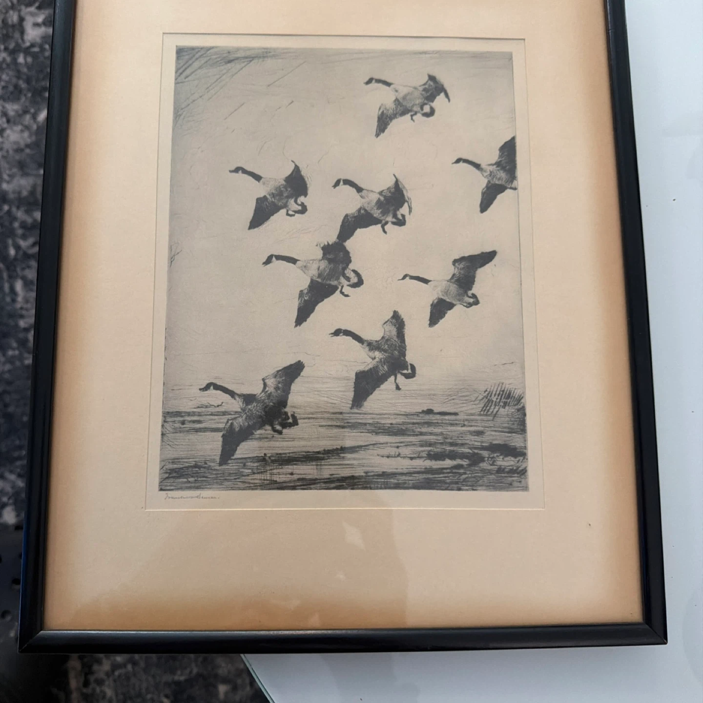 Frank W. Benson Original Dry Print of Geese