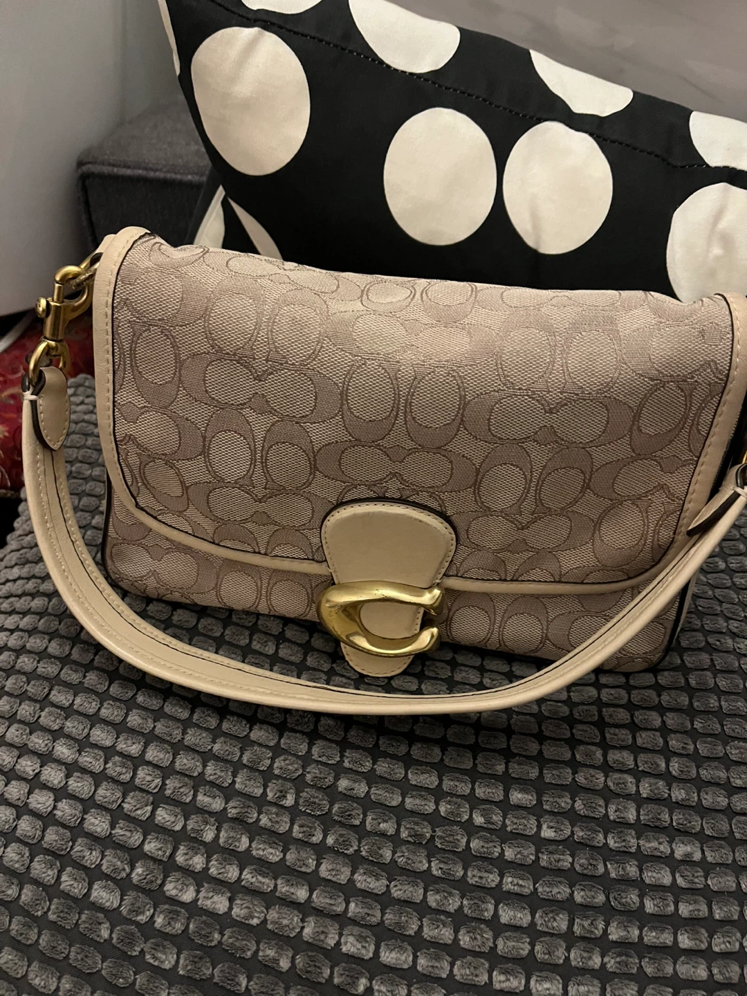 Coach Tabby Bag