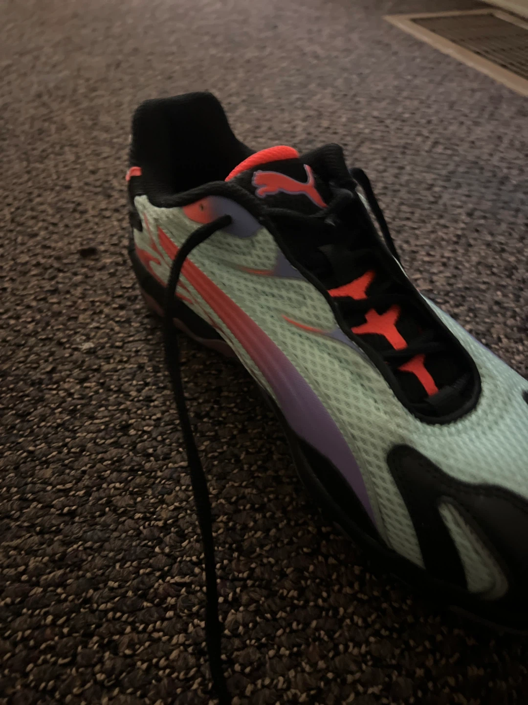 NBA PLAYER ANDREW NEMBHARD SINGED SHOES - photo 3