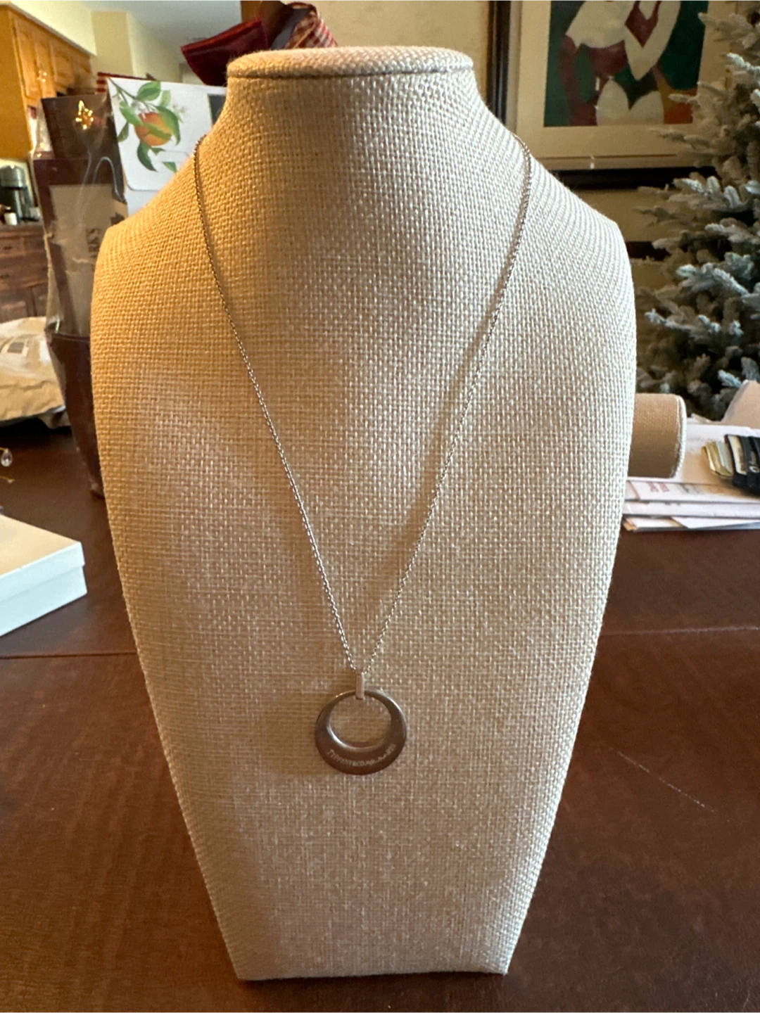 Sterling Silver Circle Pendant Necklace
