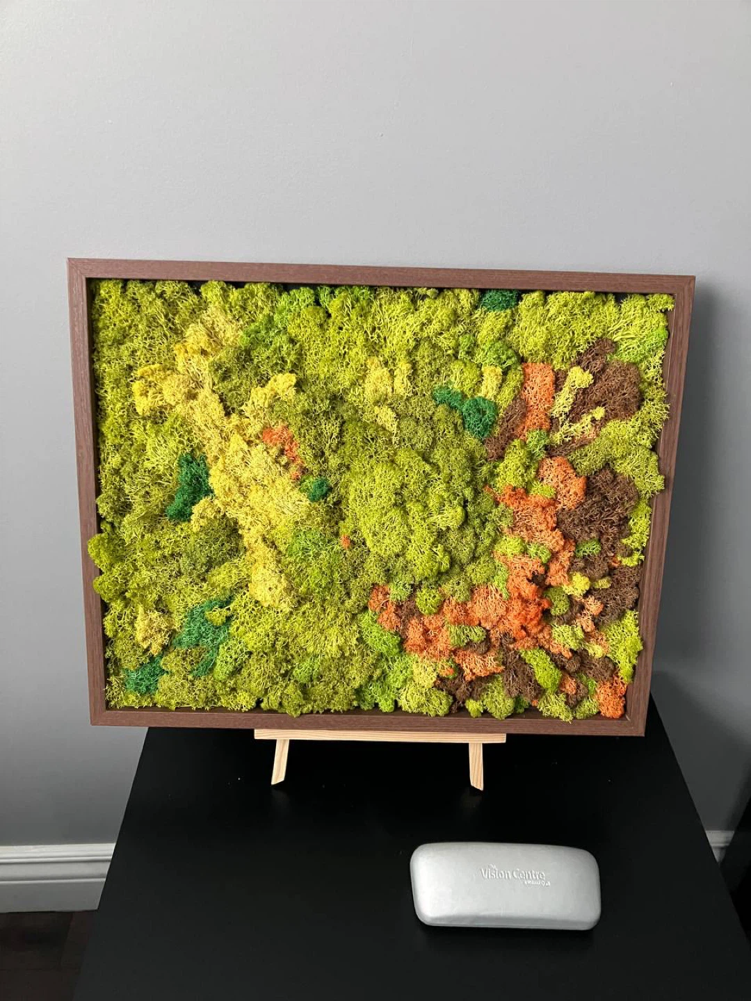 Framed Moss Art Wall Decor