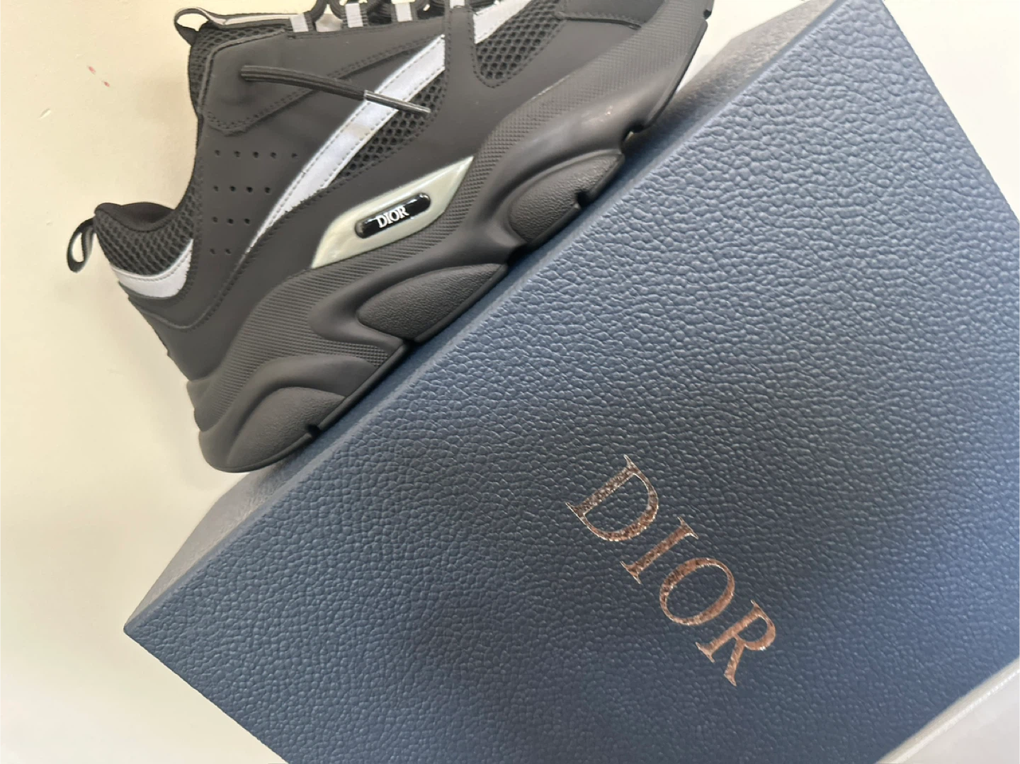 Dior B22