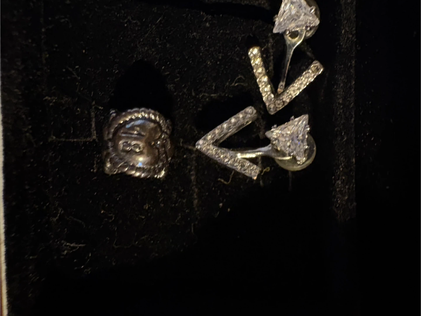 V-Shaped Crystal Earrings with Lion Head Charm - photo 4