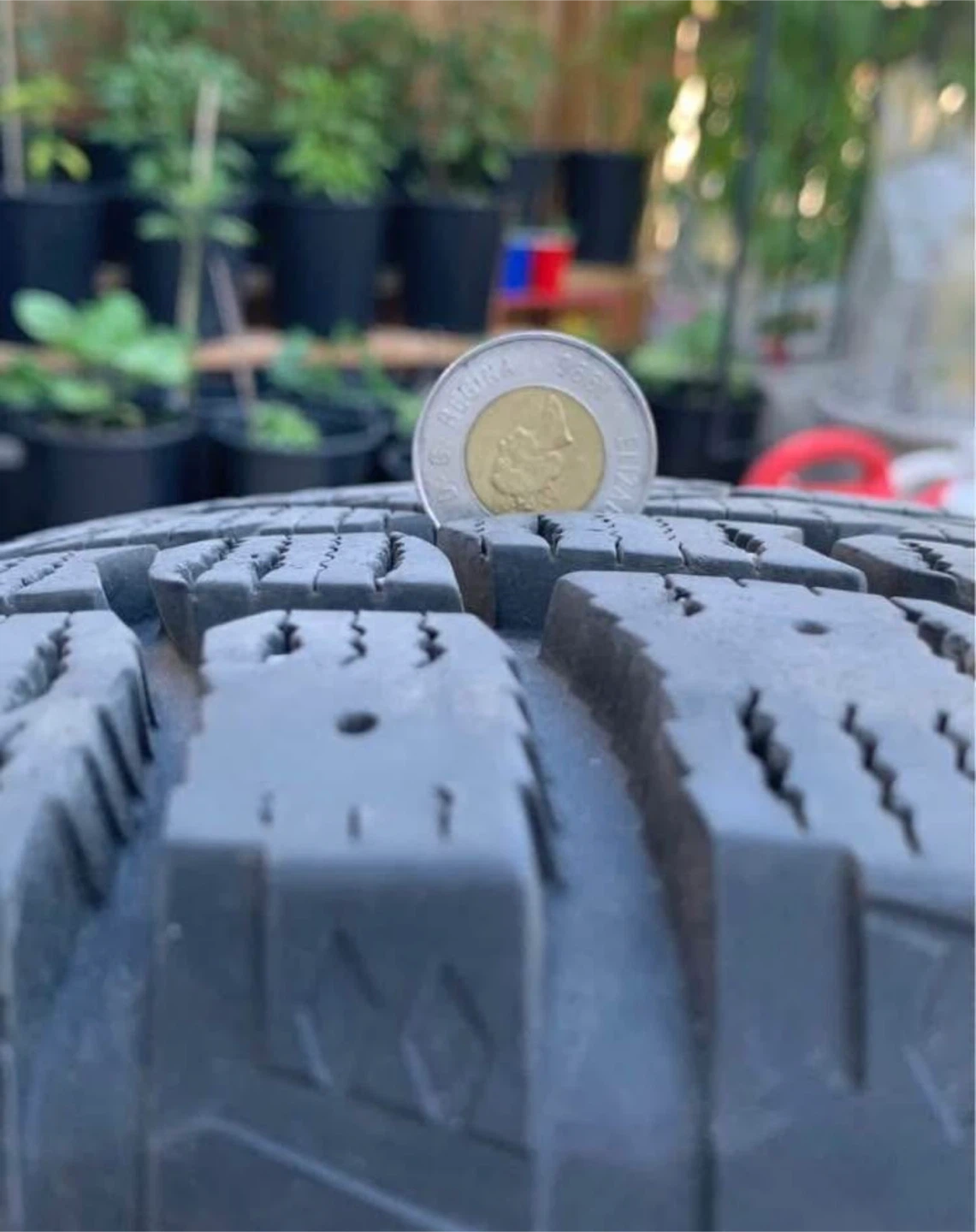 Witer Tire  225/65/ R17 with Camo Rims
