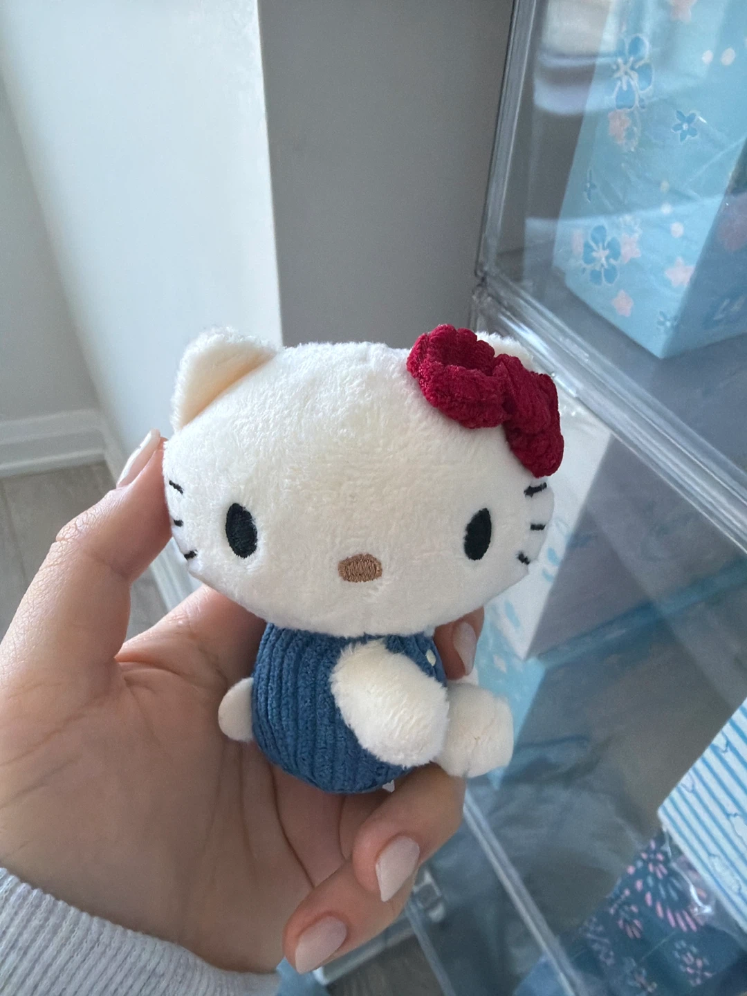 Hello Kitty Plush Toy