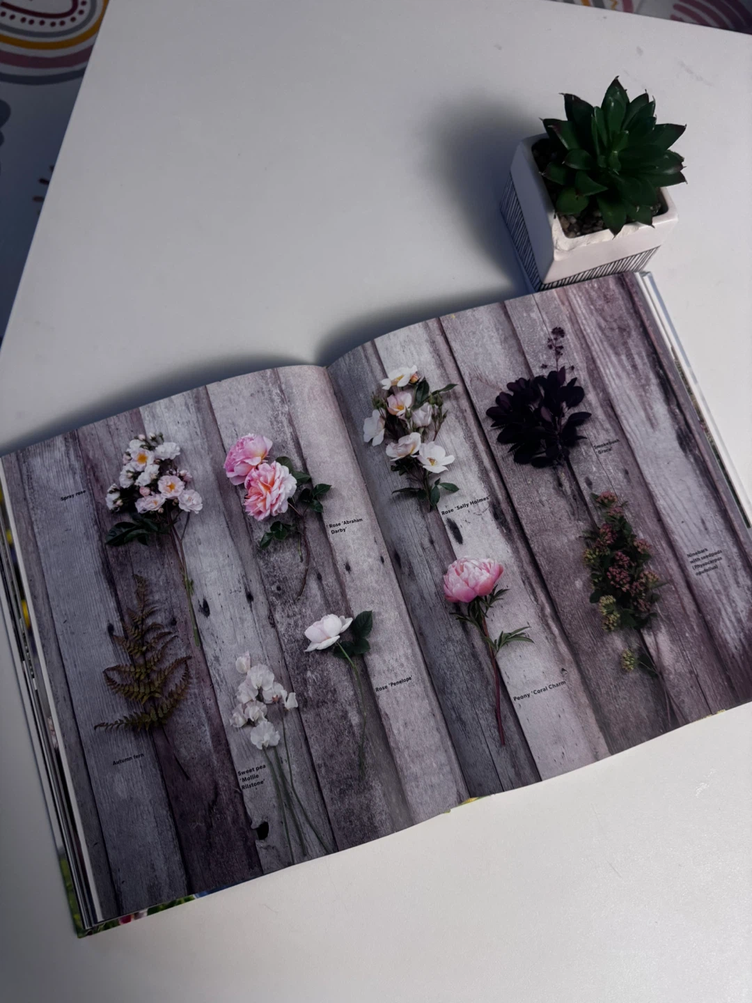 Floret Farm's A Year in Flowers Book - photo 3