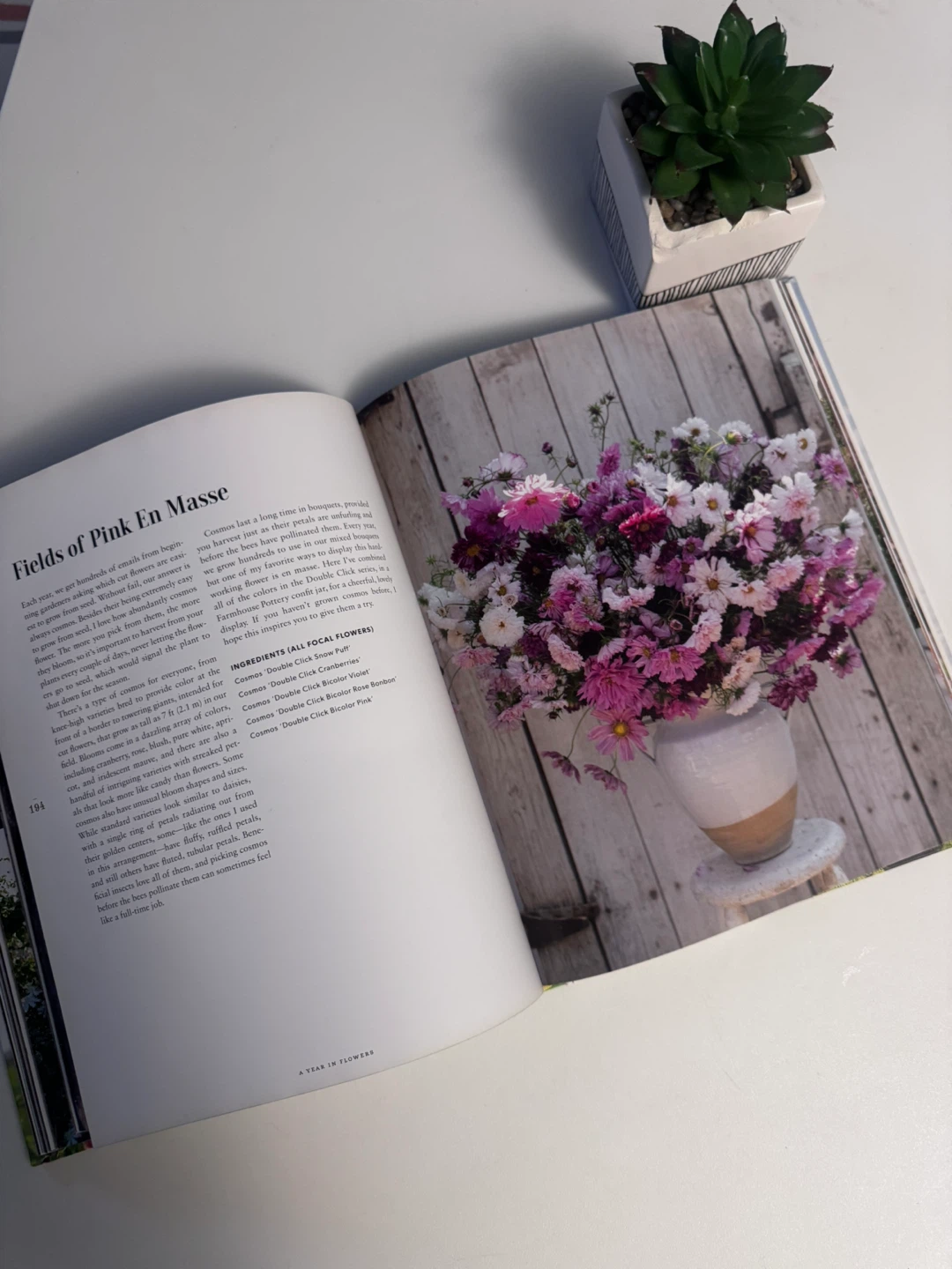 Floret Farm's A Year in Flowers Book - photo 2