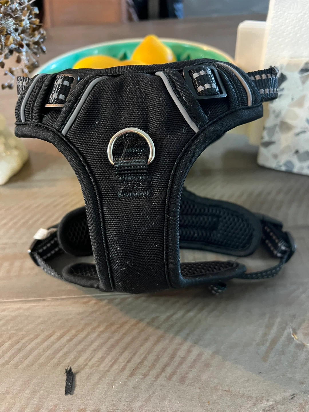 Black Pet Harness - Size S used to try on