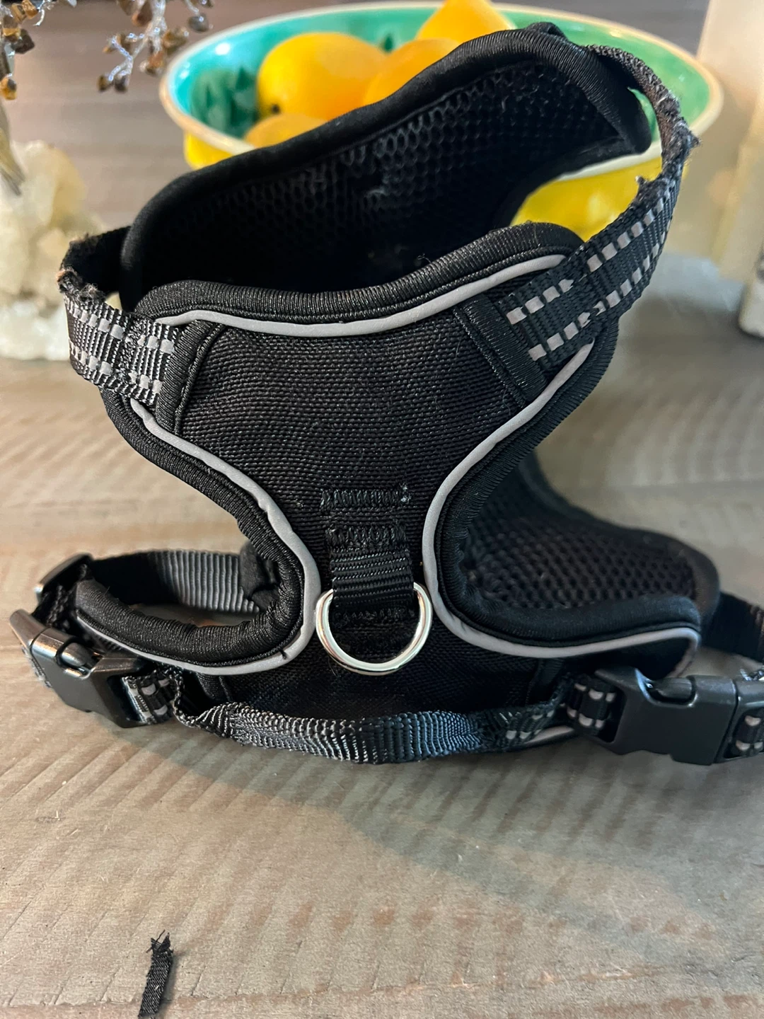Black Pet Harness - Size S used to try on - photo 5