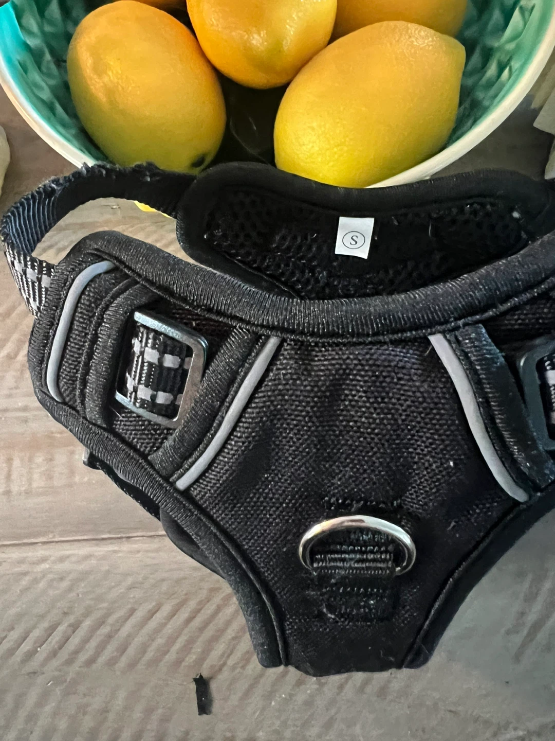 Black Pet Harness - Size S used to try on - photo 3