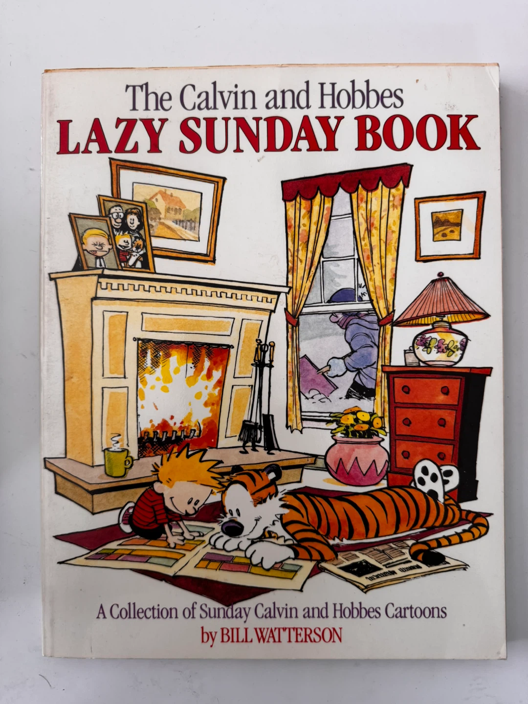 15 x Calvin and Hobbes Book Collection by Bill Watterson - photo 4