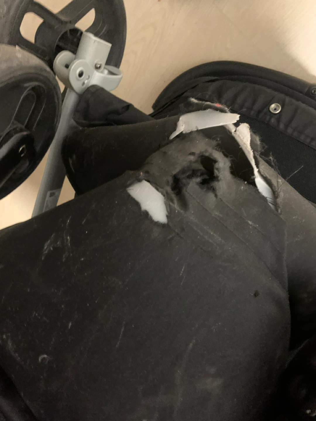 Free Free Graco Stroller - As Is - photo 5
