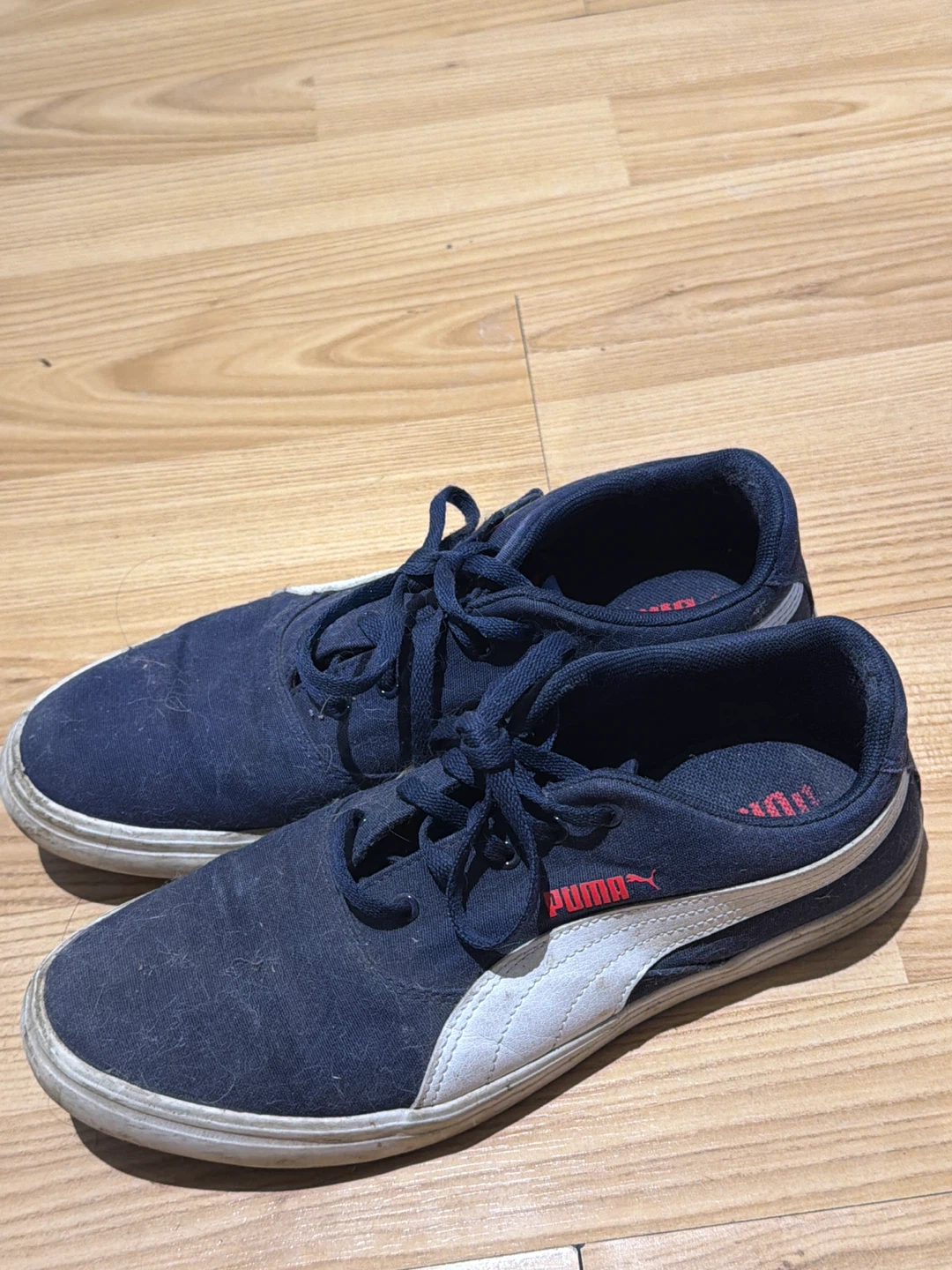 Puma Navy Canvas Sneakers