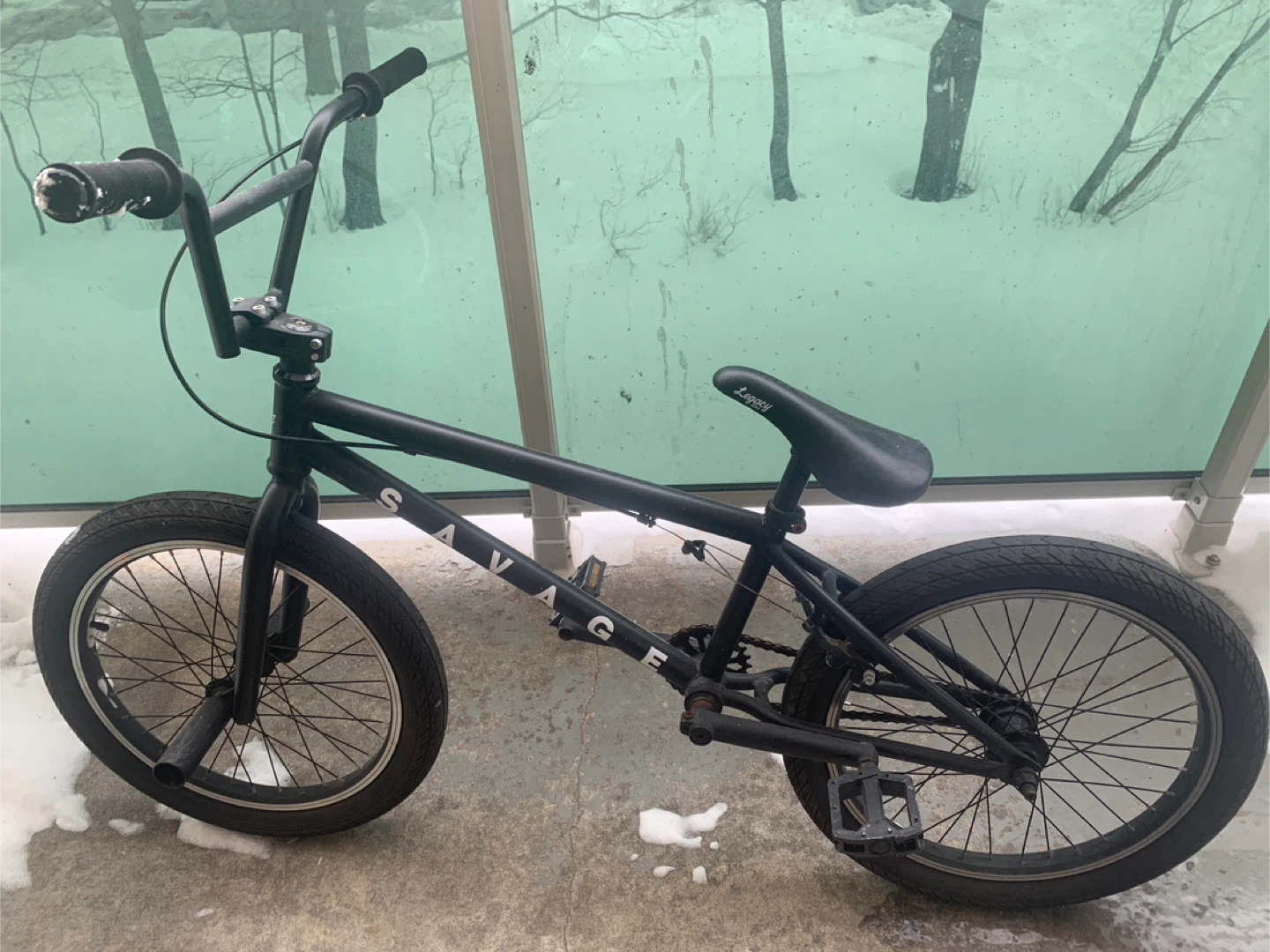 Savage BMX Bike