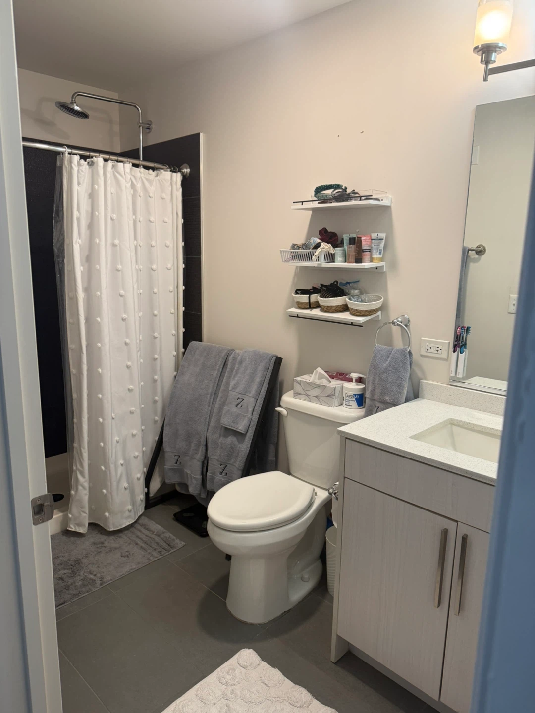 River North - Lux 2 Bed / 2 Bath Massive Private Yard Amenities - photo 3