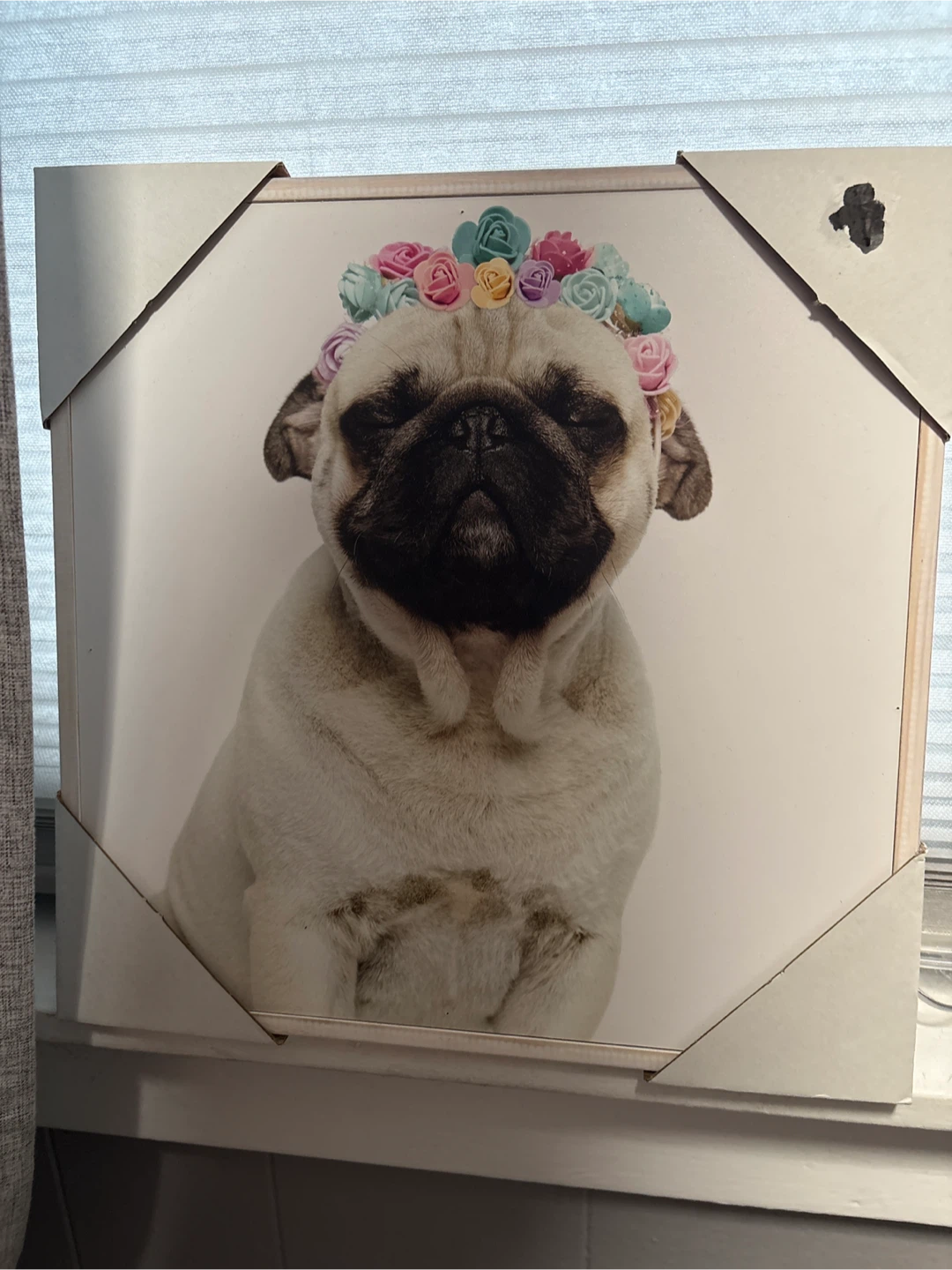 Cute Pug Wall Art Canvas with Flower Crown