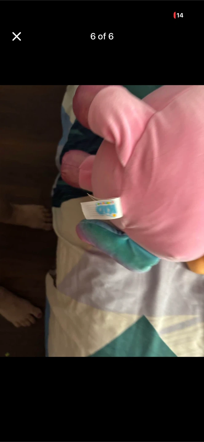 Pink Plush Stuffed Animal Toy