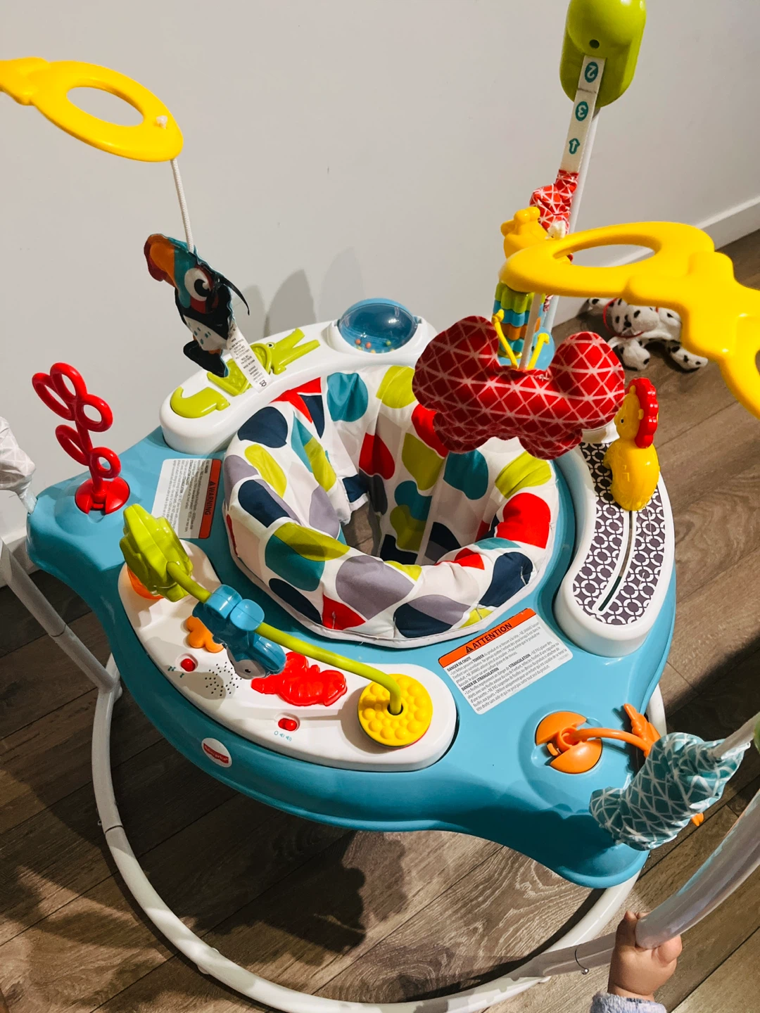 Fisher-Price Jumperoo - photo 3