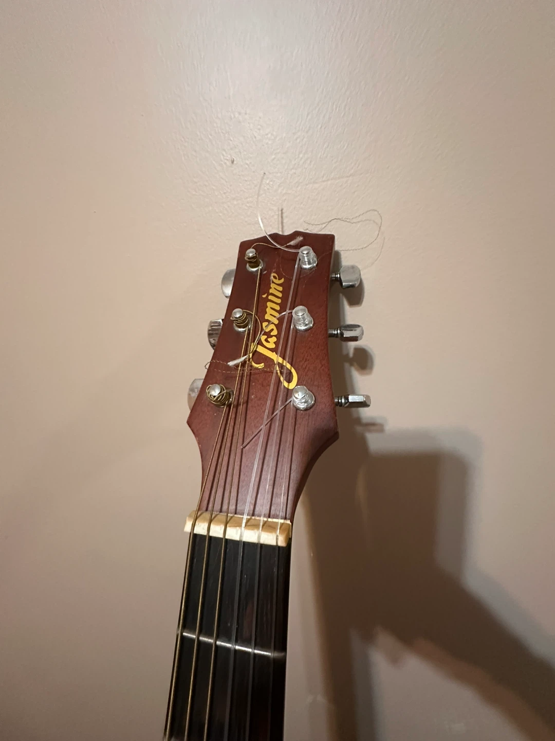Acoustic Guitar - photo 4
