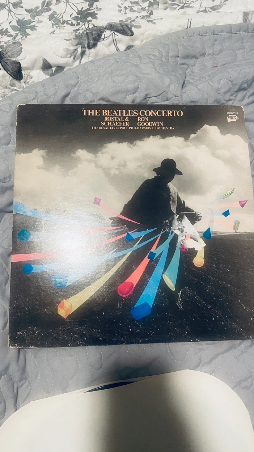 Beatles vinyl