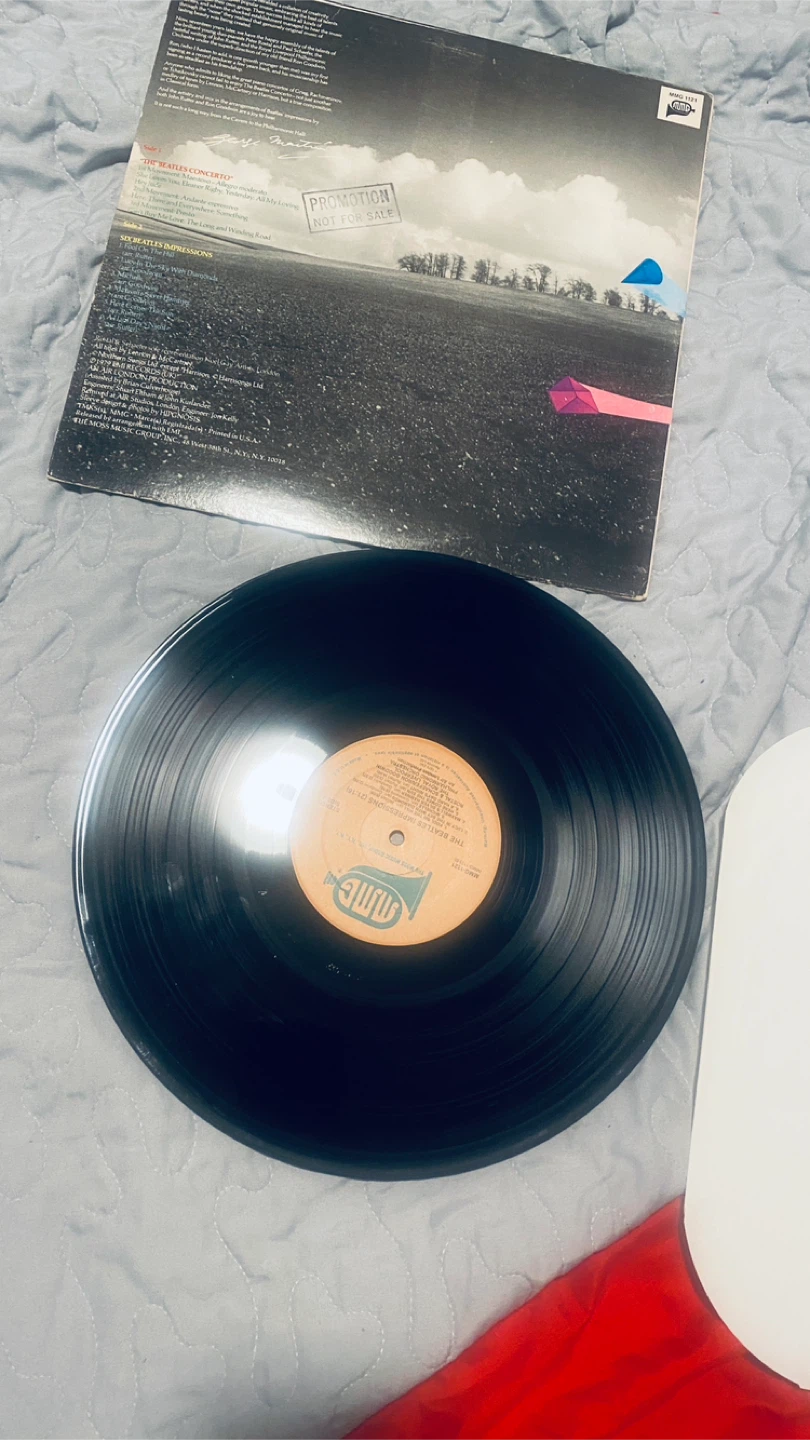 Beatles vinyl - photo 2