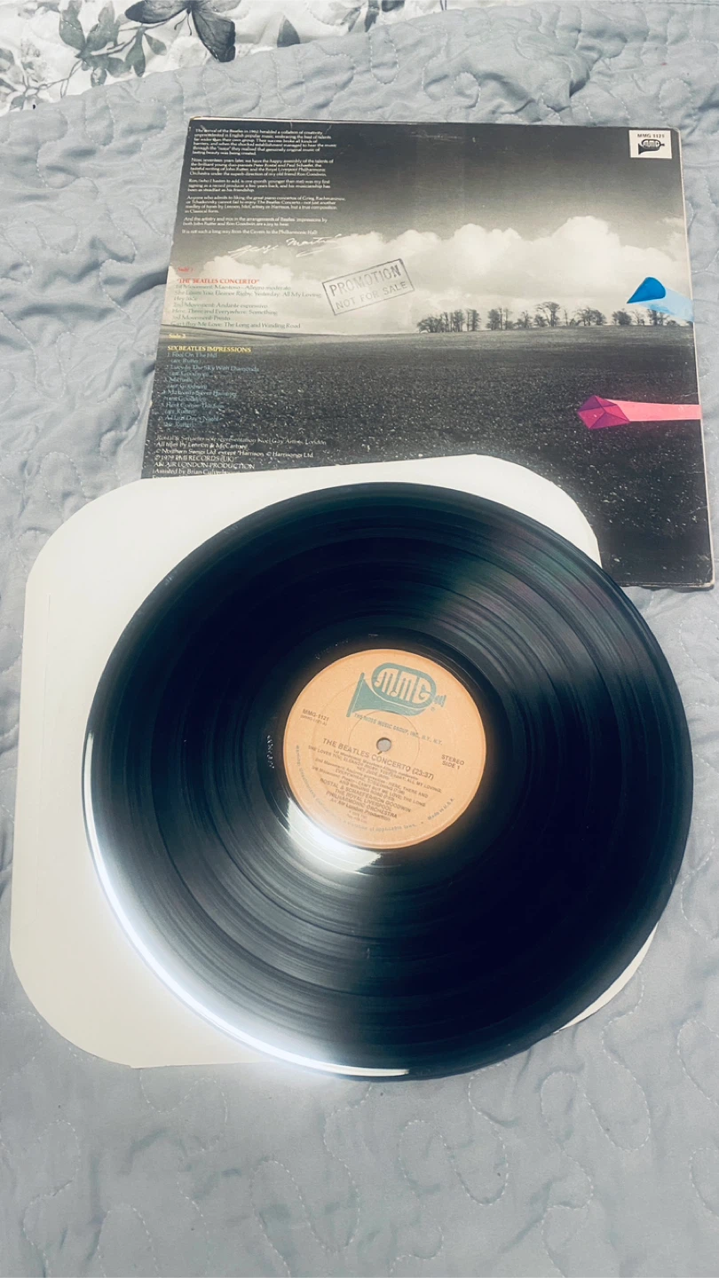 Beatles vinyl - photo 5