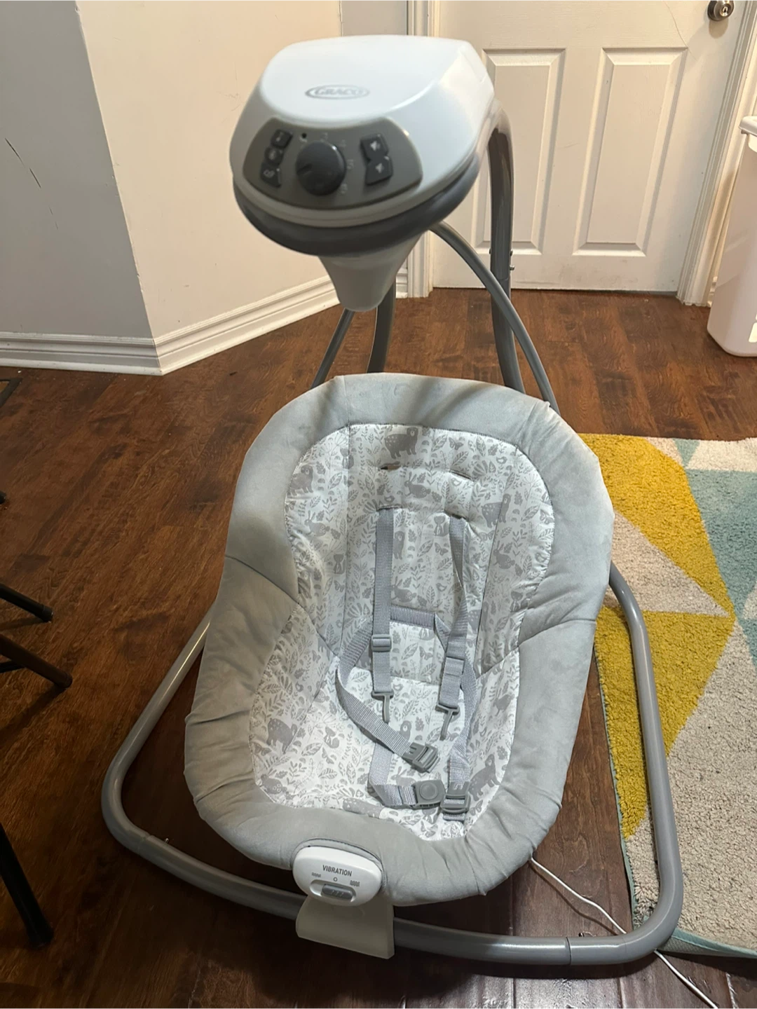 Graco Baby Swing