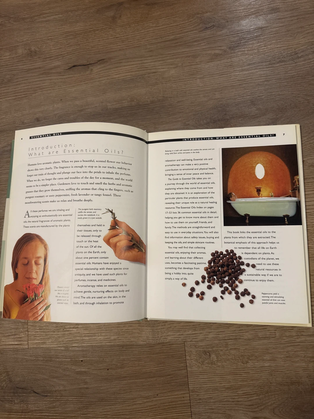 A Guide To Essential Oils By Jennie Harding - photo 5