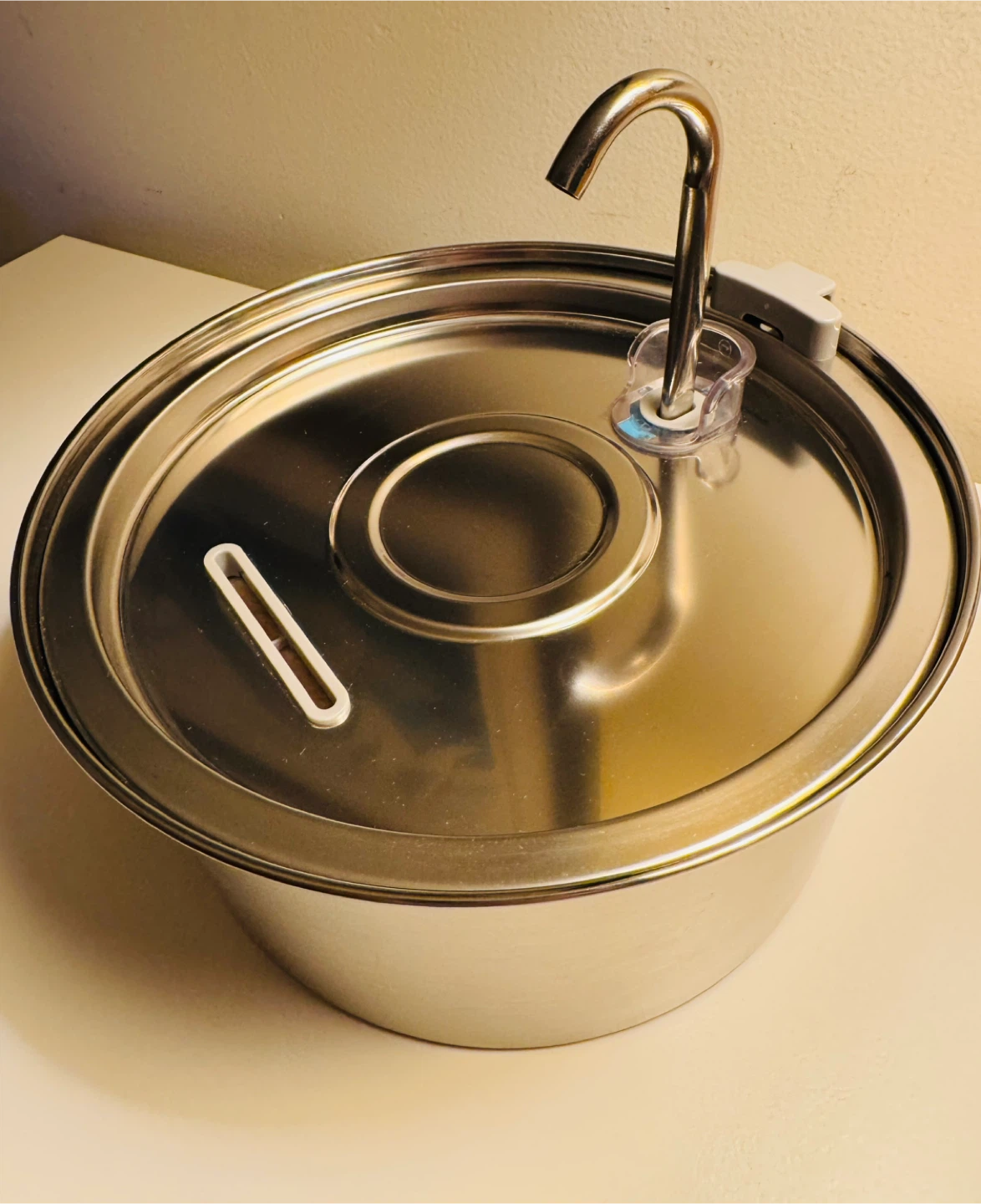 Cat Water Fountain – Used Once