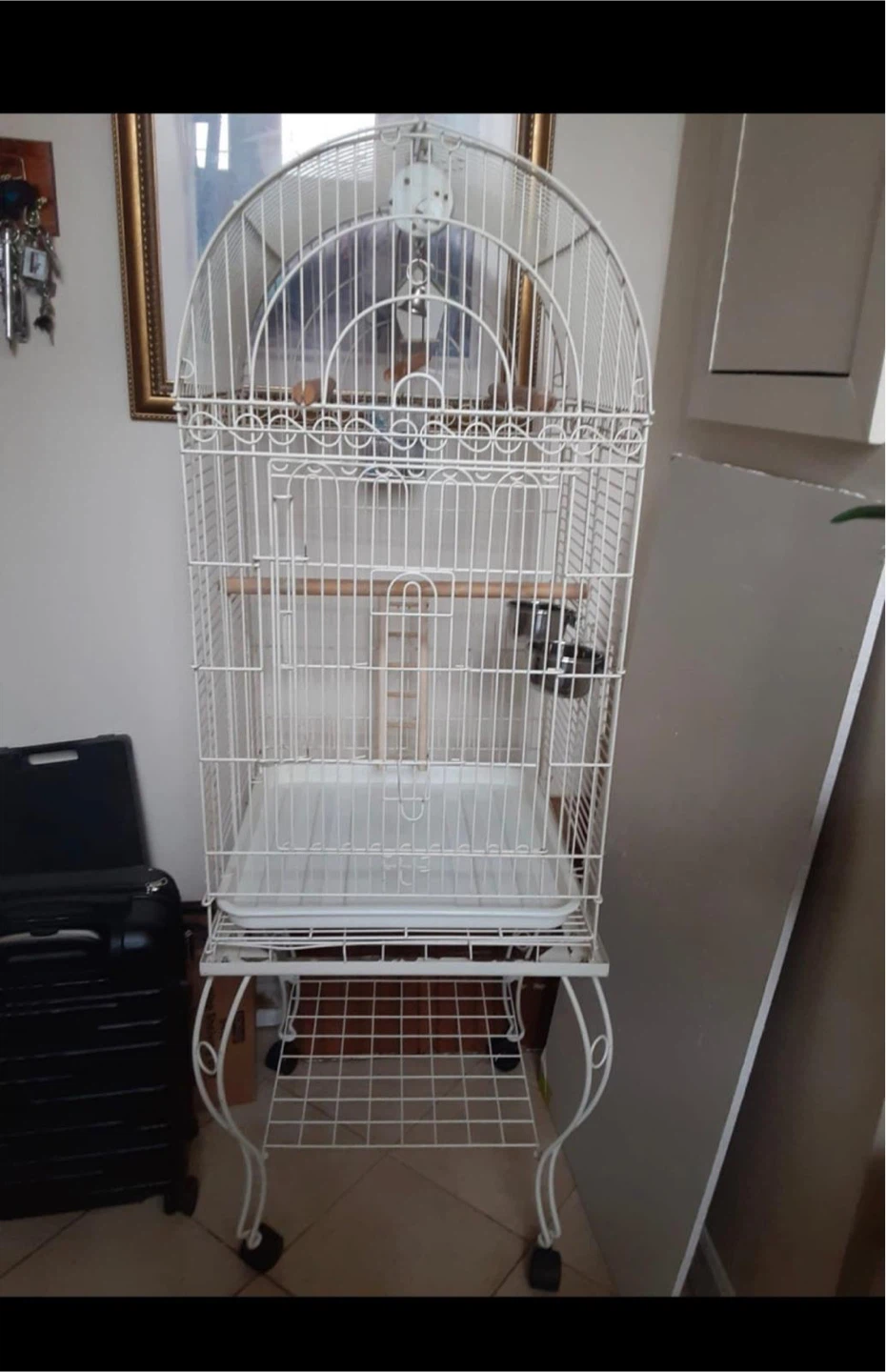 White Bird Cage with Stand