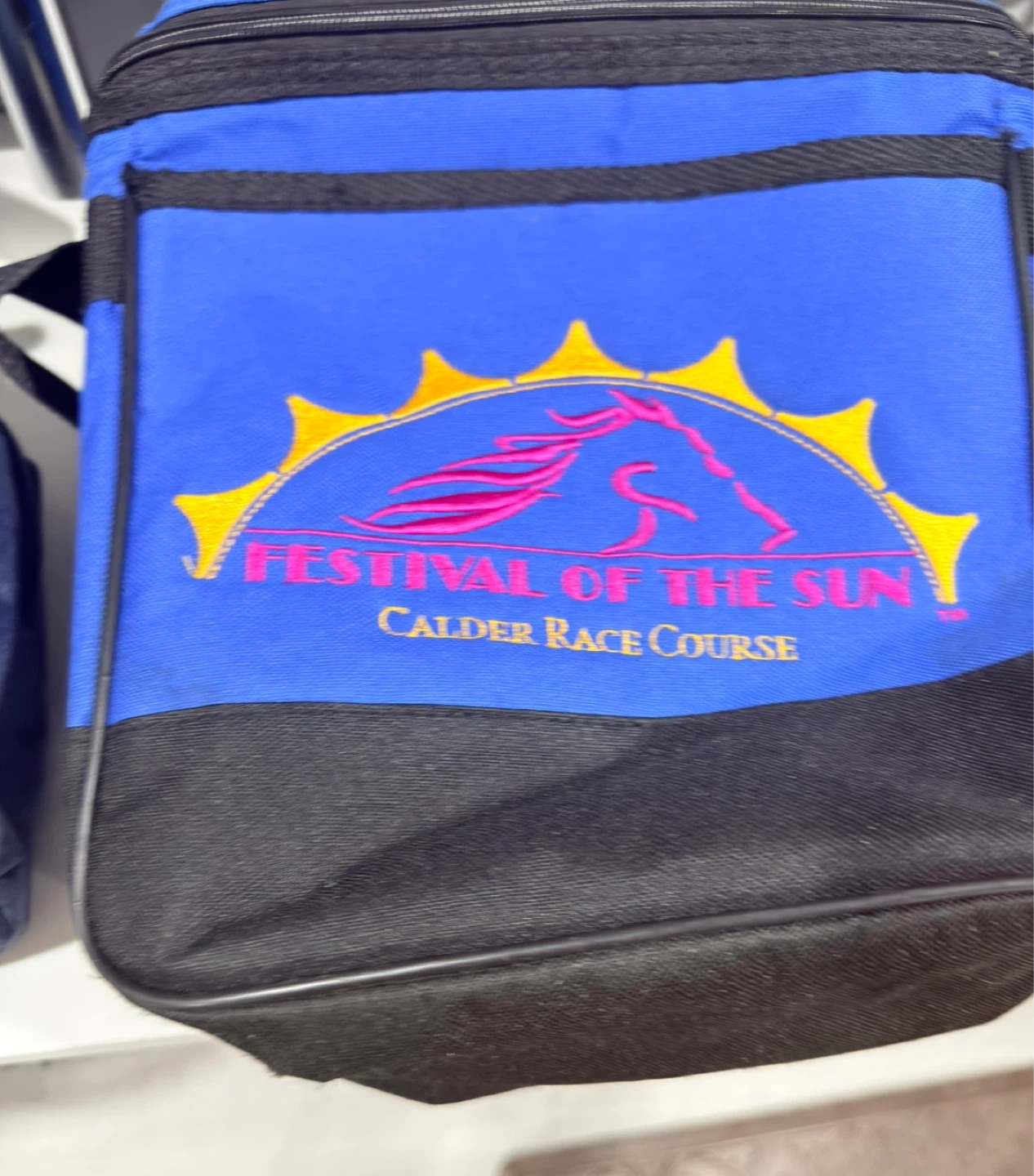 FREE Assorted Bags: Duffle Bag, Tote, and Lunch Bag - photo 2