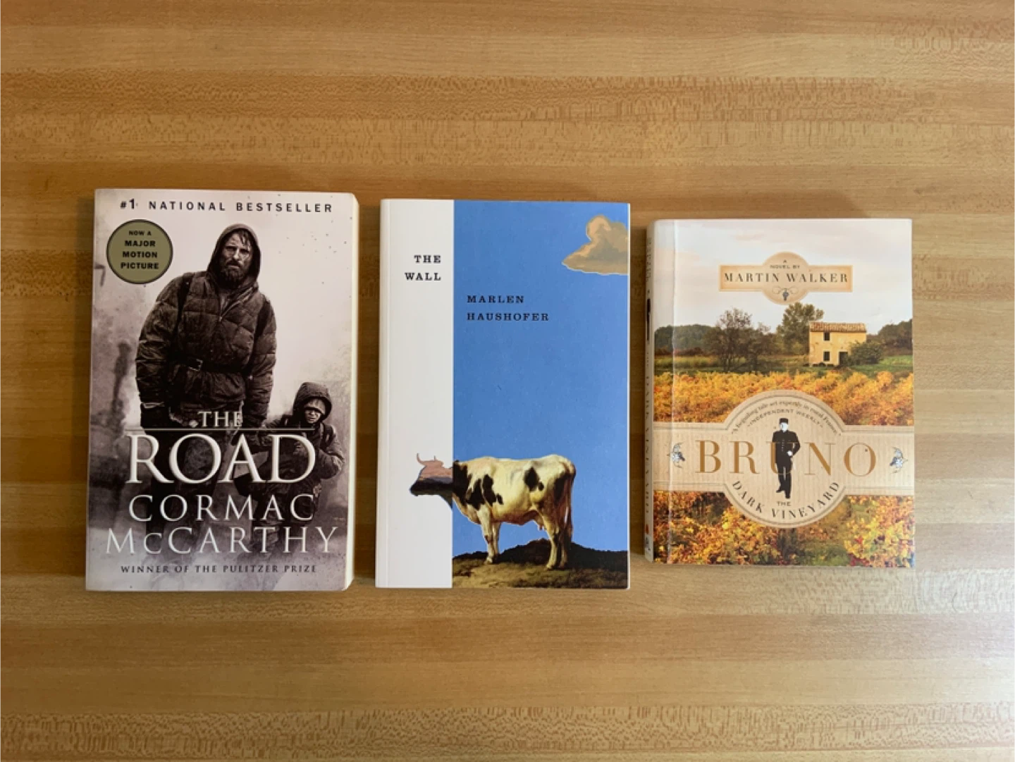 Literary Fiction Books – The Road, The Wall, Bruno – $2 Each