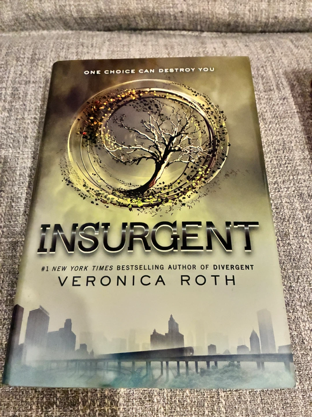 The World of Veronica Roth's Divergent Series Books - photo 3