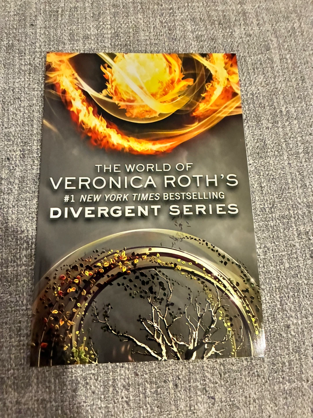 The World of Veronica Roth's Divergent Series Books - photo 5