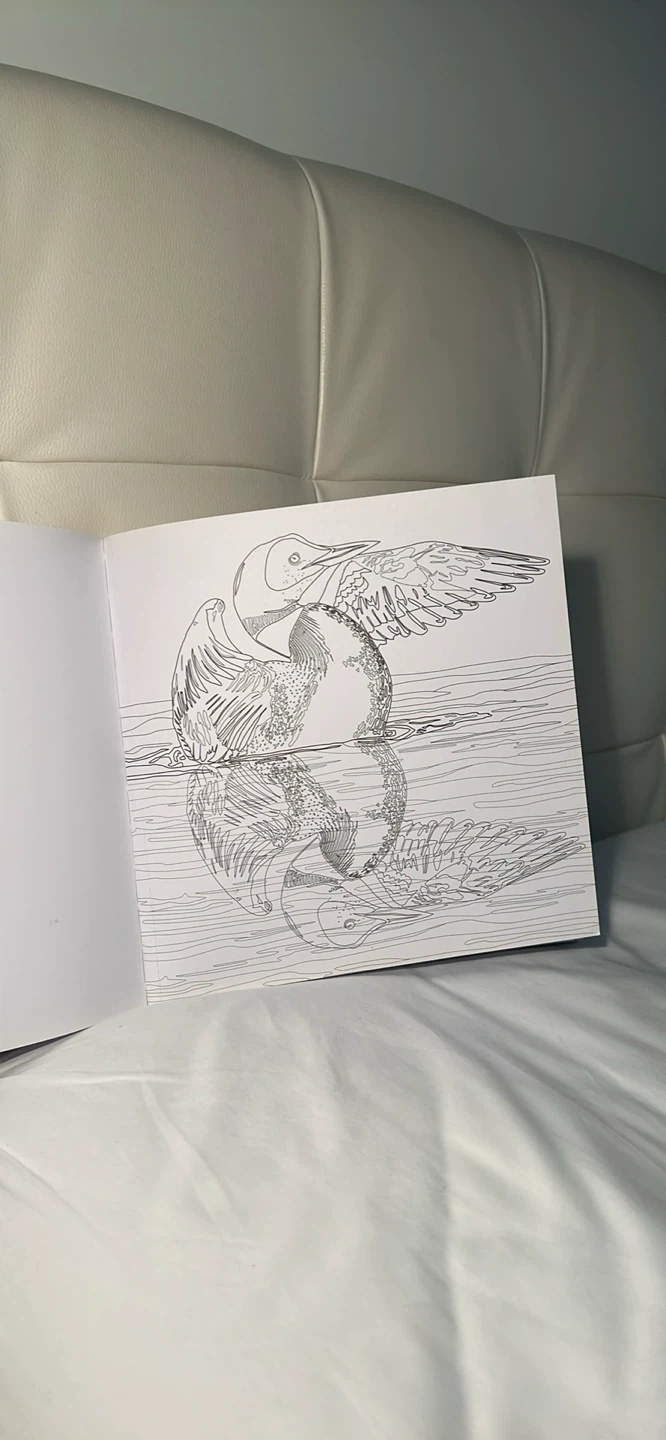Artist's Loft Colored Pencils & Canada 150 Colouring Book - photo 3