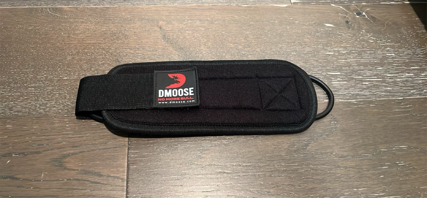 DMoose Ankle Strap for Cable Machines