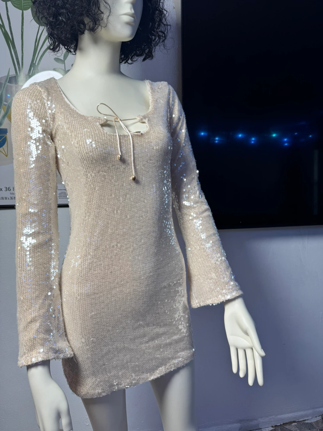 Champagne Sequin Mini Dress - photo 3