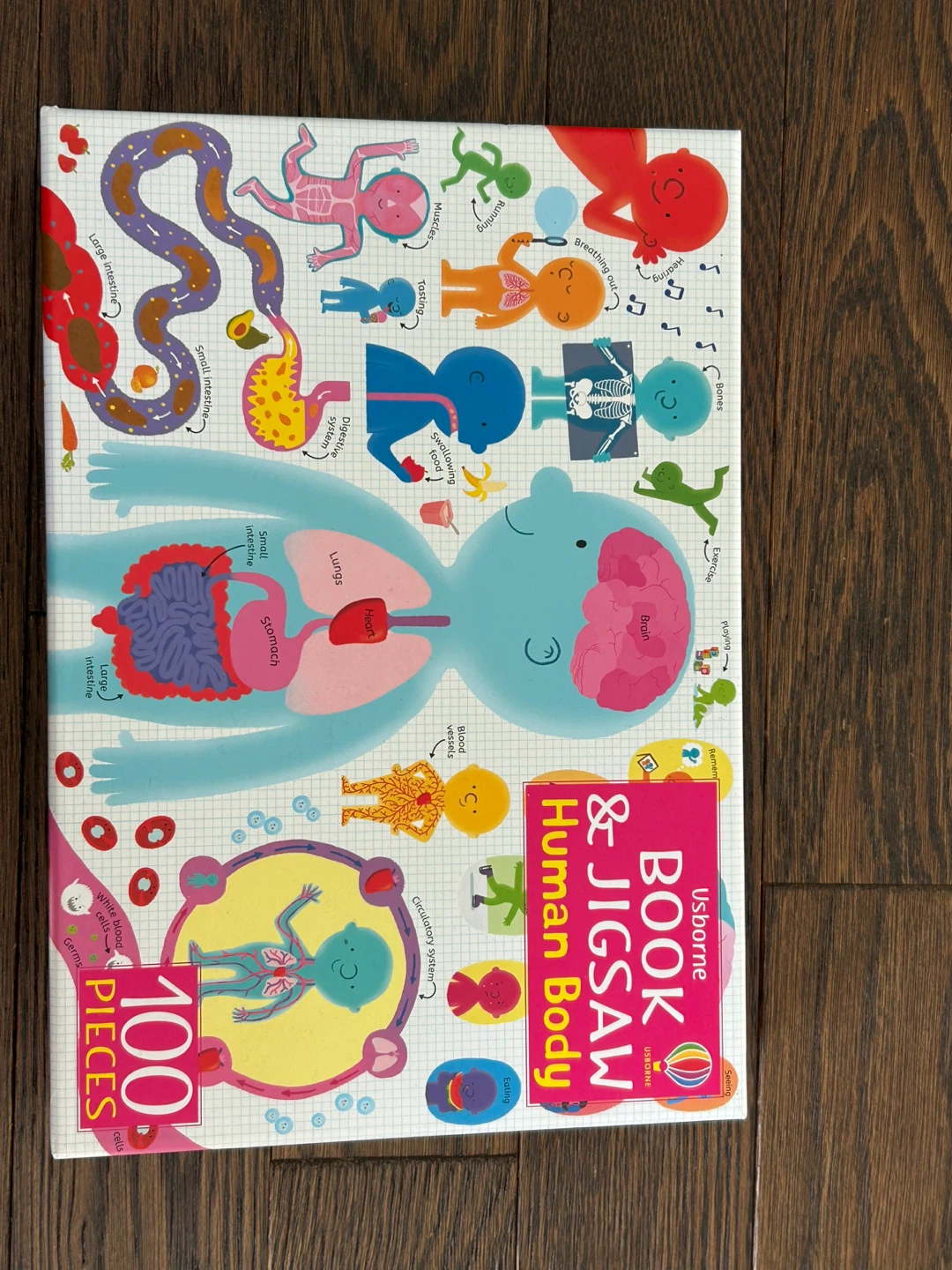 Usborne Book & Jigsaw Human Body 100 Pieces