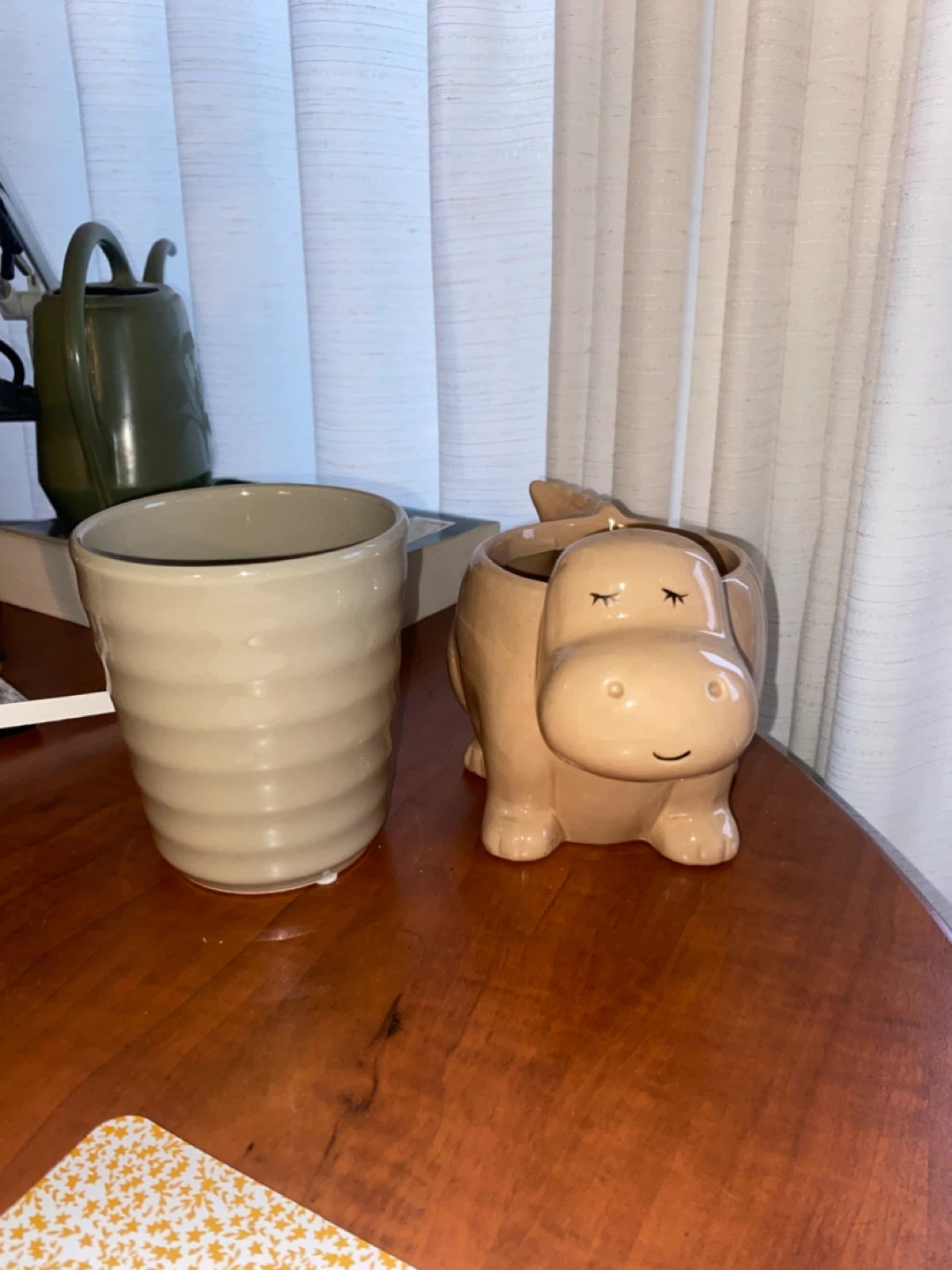Ceramic Planter Pot - Beige Ribbed & Dinosaur Design