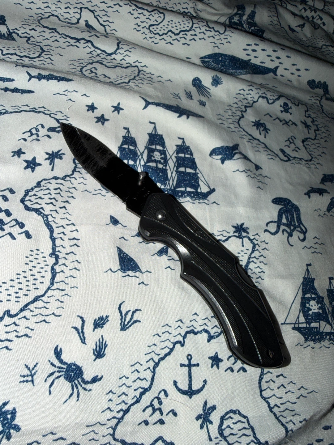Black Folding Knife